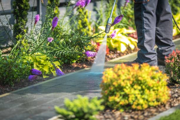 Best Fence Cleaning  in Hammond, WI
