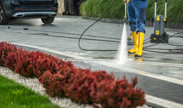 Best Sidewalk and Walkway Cleaning  in Hammond, WI